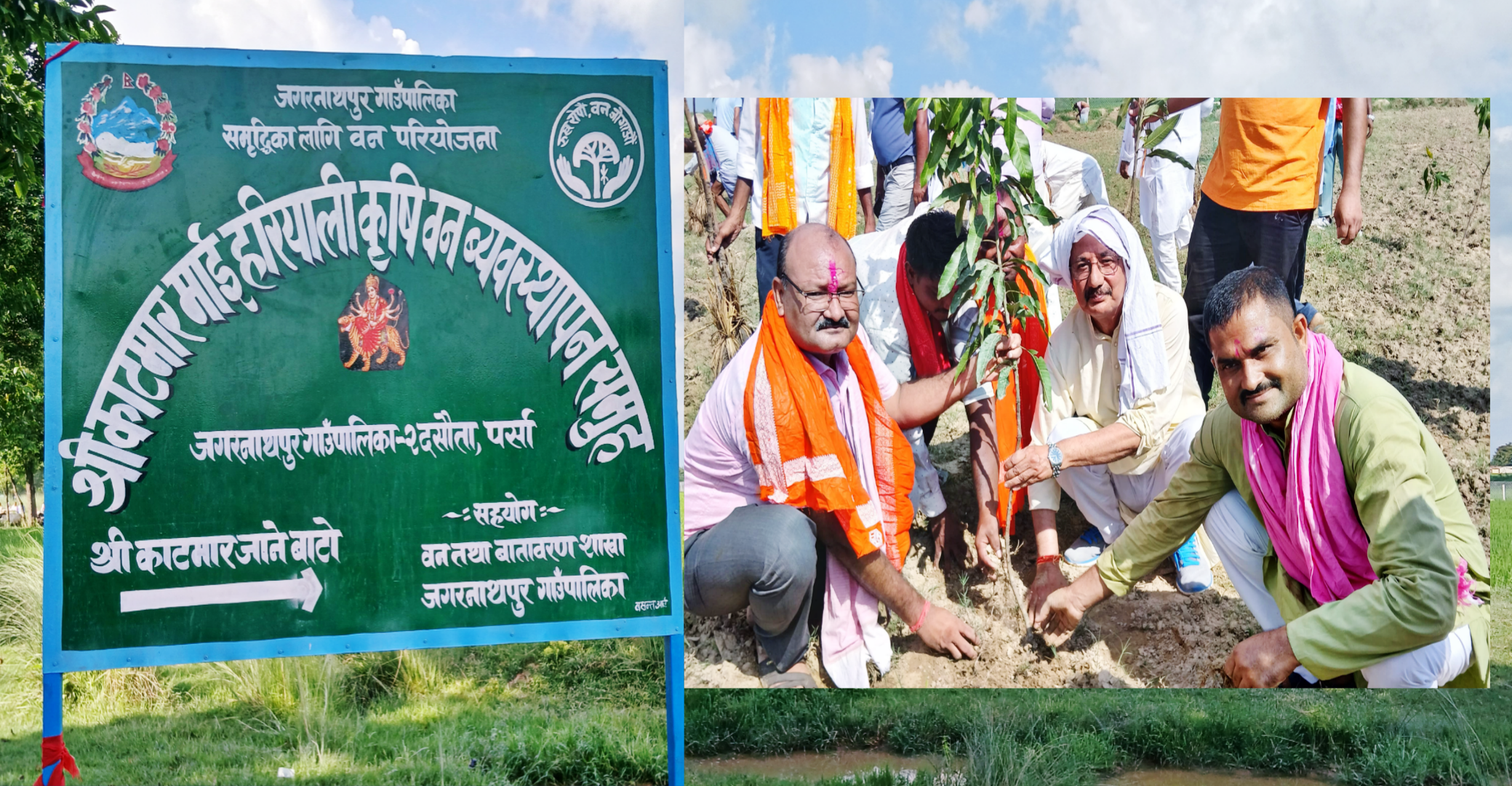 जगरनाथपुर गाउँपालिकामा २७ प्रजातिका १० हजारभन्दा बढी बिरुवा रोपाइँ, पूर्व मन्त्री रिजालद्वारा उद्घाटन
