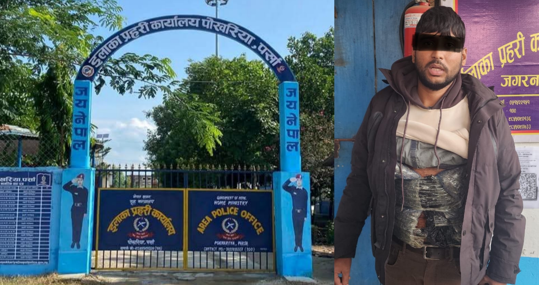 पोखरिया प्रहरी प्रमुख पौडेलको नेतृत्वमा गाँजा सहित भारतीय नागरिक पक्राउ