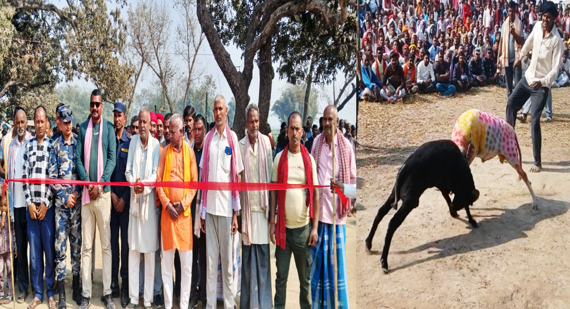 मिर्जापुरमा महाशिवरात्रिको अवसरमा भव्य भेडा कुस्ती प्रतियोगिता सम्पन्न