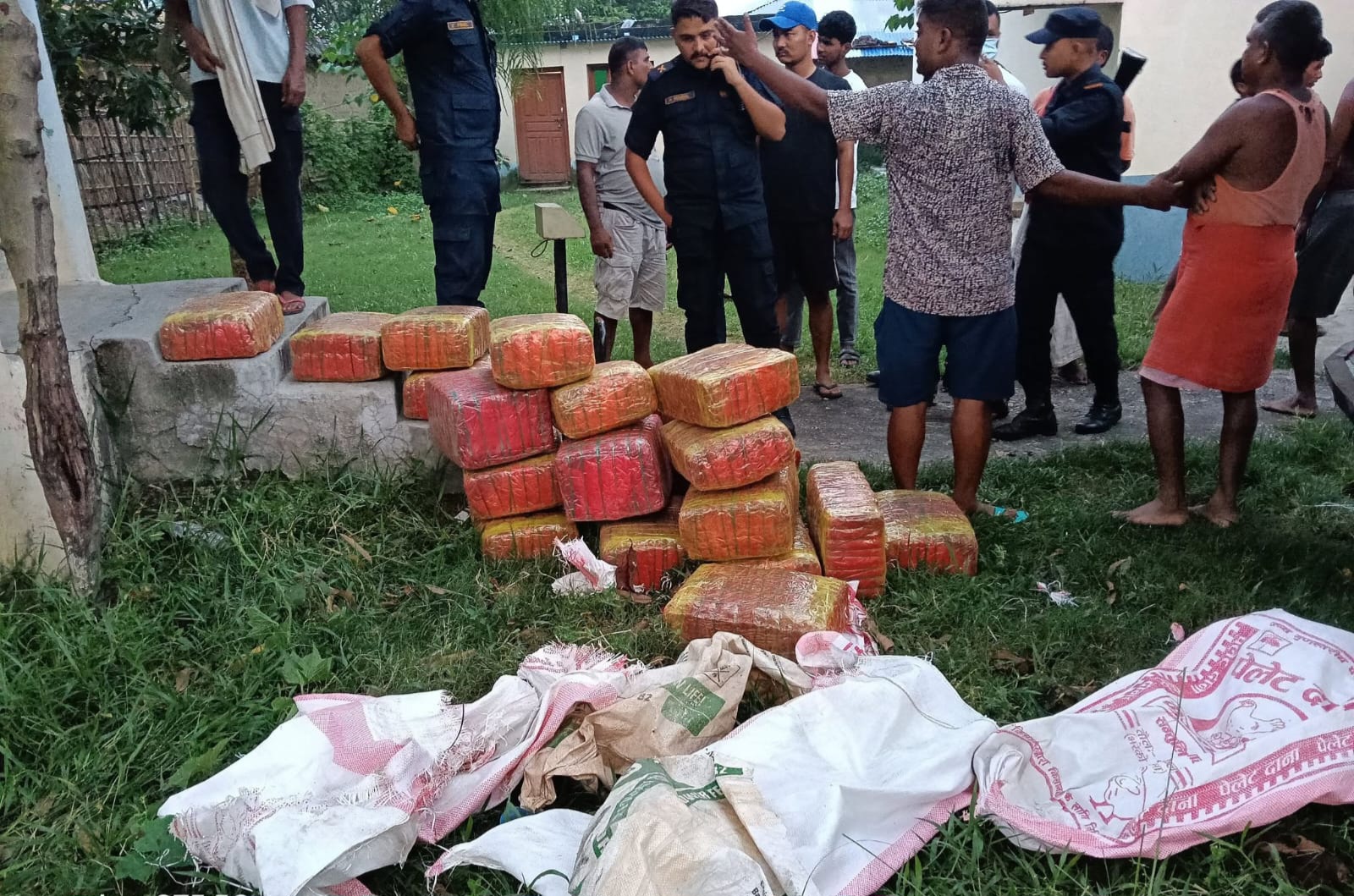 पर्सामा २०७ केजी गाँजासहित पिकअप चालक पक्राउ