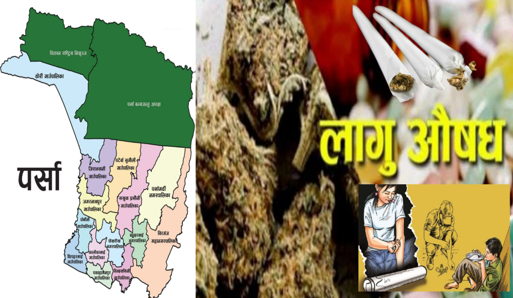 पर्साका ग्रामीण क्षेत्रमा लागुऔषधको बढ्दो प्रभाव : कुलतमा युवा, चिन्तामा परिवार