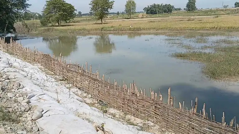 लालबकैया बाढीको जोखिम घटाउन परोहामा जैविक तटबन्ध, दीर्घकालीन समाधानको प्रतीक्षा